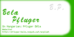 bela pfluger business card